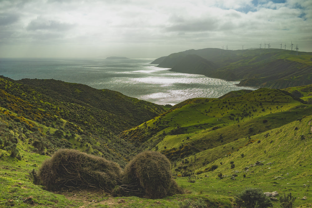 a look across the landscape with view of the sea