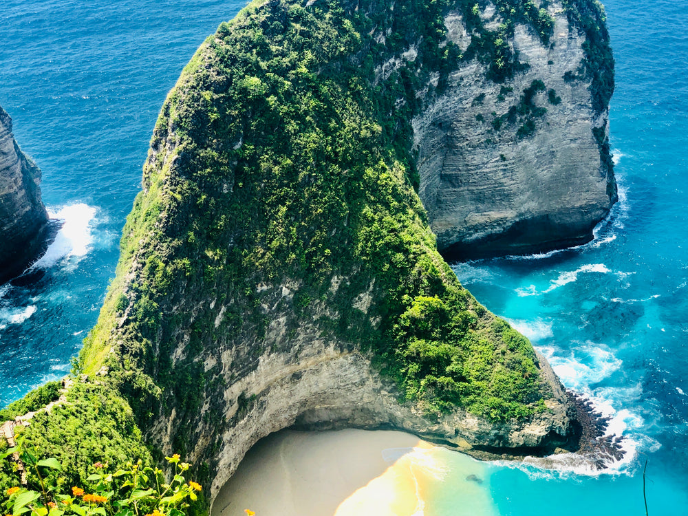 a luscious cliffside cradles a beach