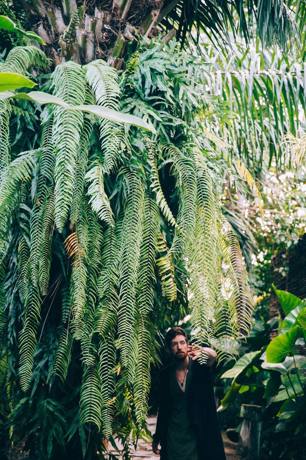 a man brushes ferns out of his path in a botanical space