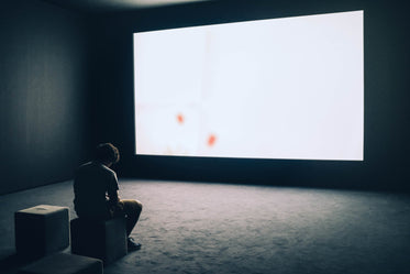 a man in a small makeshift cinema