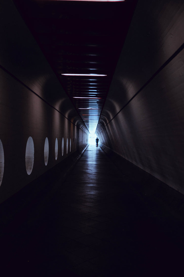 A Man Rides A Bicycle Through A Tunnel