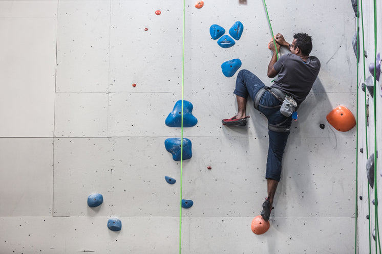 a-man-scales-the-side-of-a-rock-climbing-wall.jpg?width=746&format=pjpg&exif=0&iptc=0