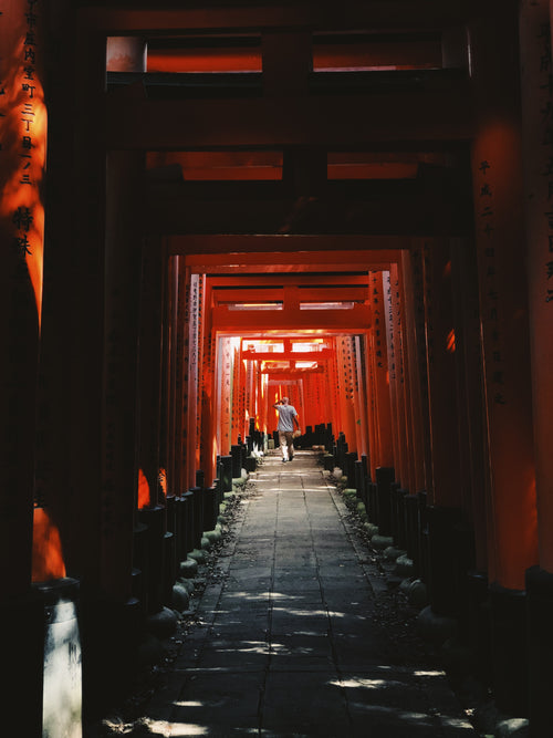 一名男子在日本的红色拱门中漫步