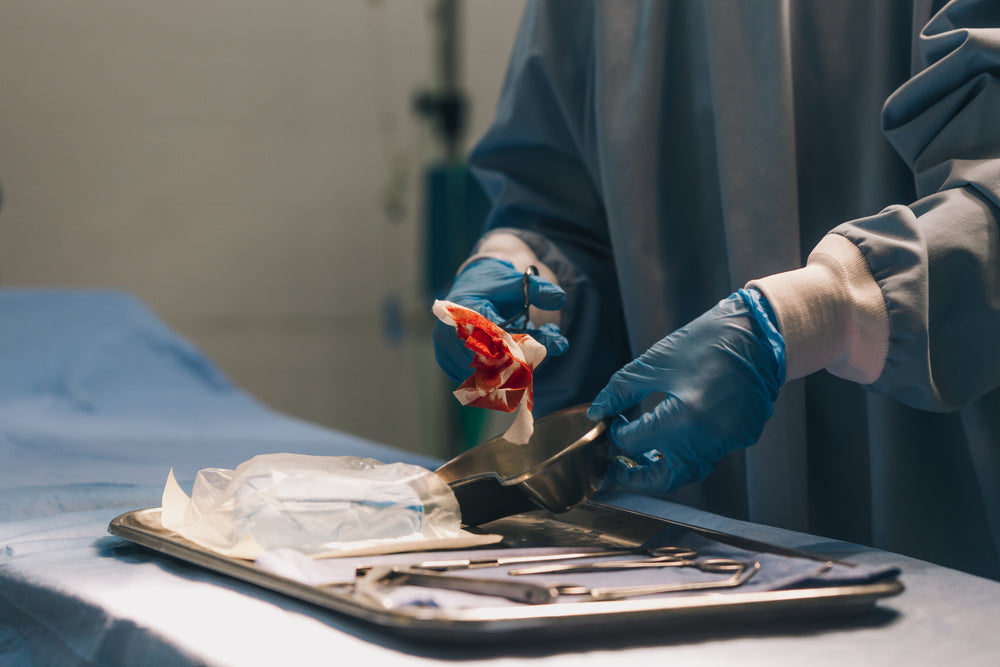 a medical professional holds bloody gauze in forceps