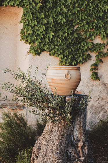 a mediterranean scene with terracotta pot