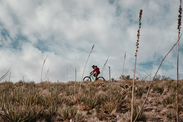 a moutain biker on a hillside