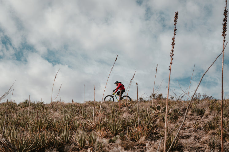 a-moutain-biker-on-a-hillside.jpg?width=