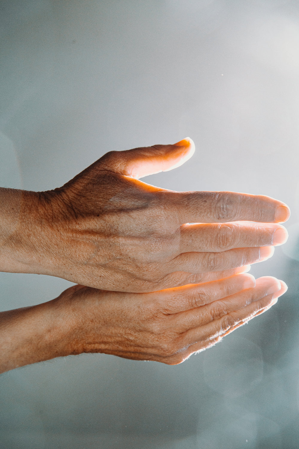 a pair of hands basking in the sunlight