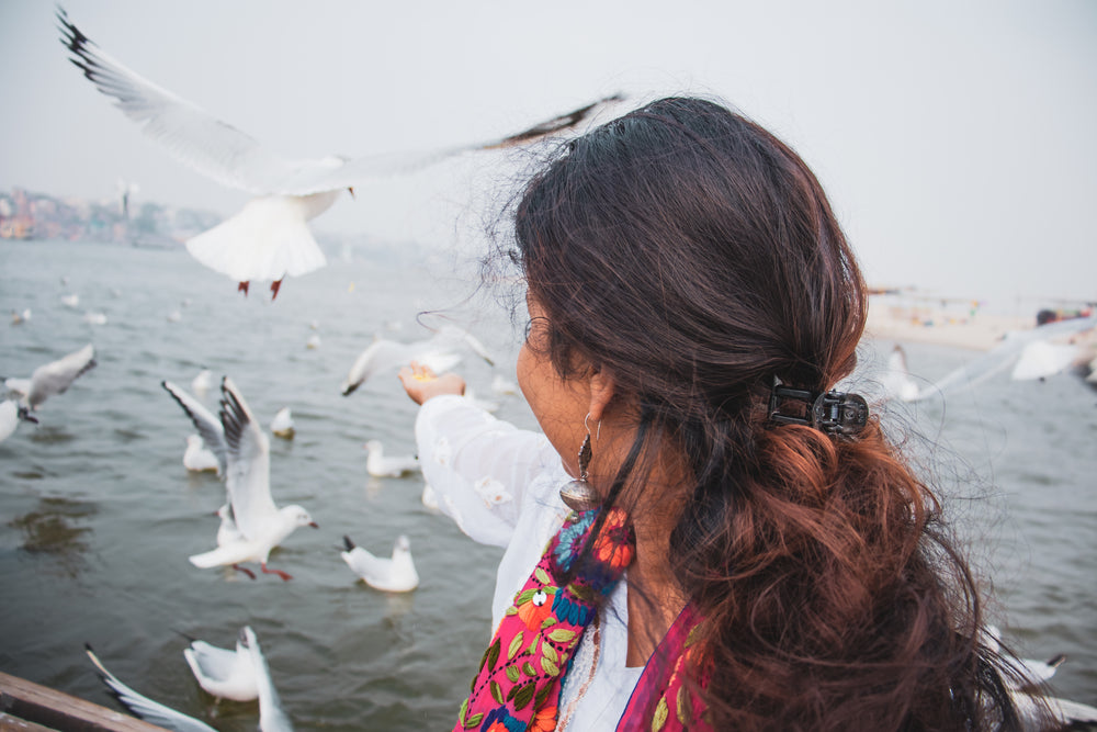 a person holds out a hand to feed white birds