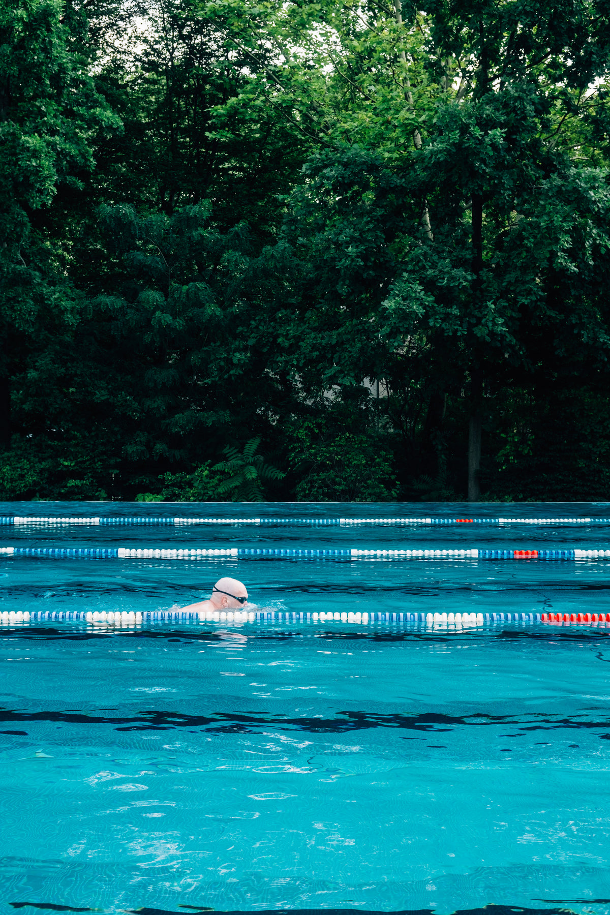 a person swimming lanes in outdoor pool by tall trees