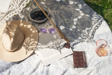 a picnic outdoors with a novel fresh figs and chocolate