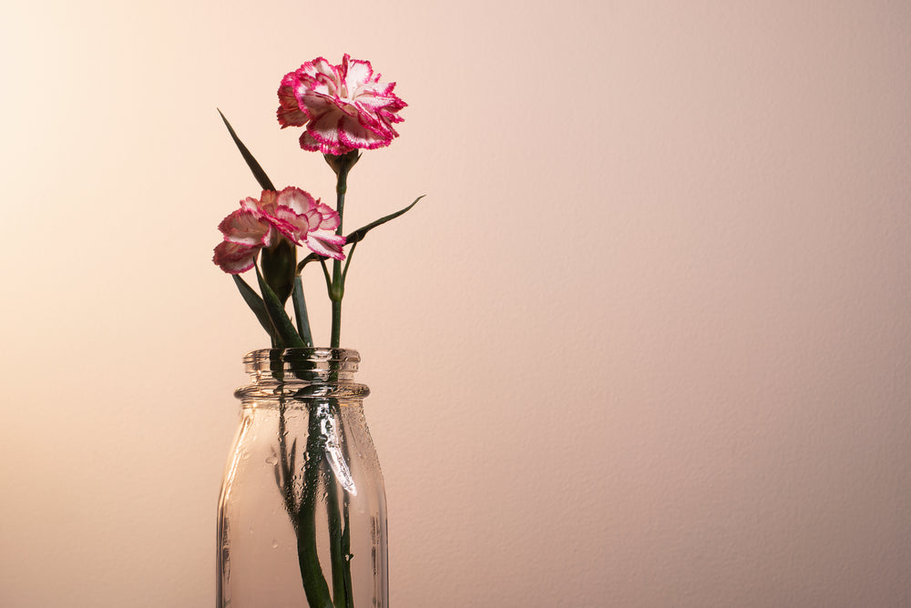 a pink and white flower blossoming in a jar