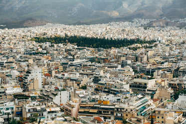 a pocket of forest in a dense city