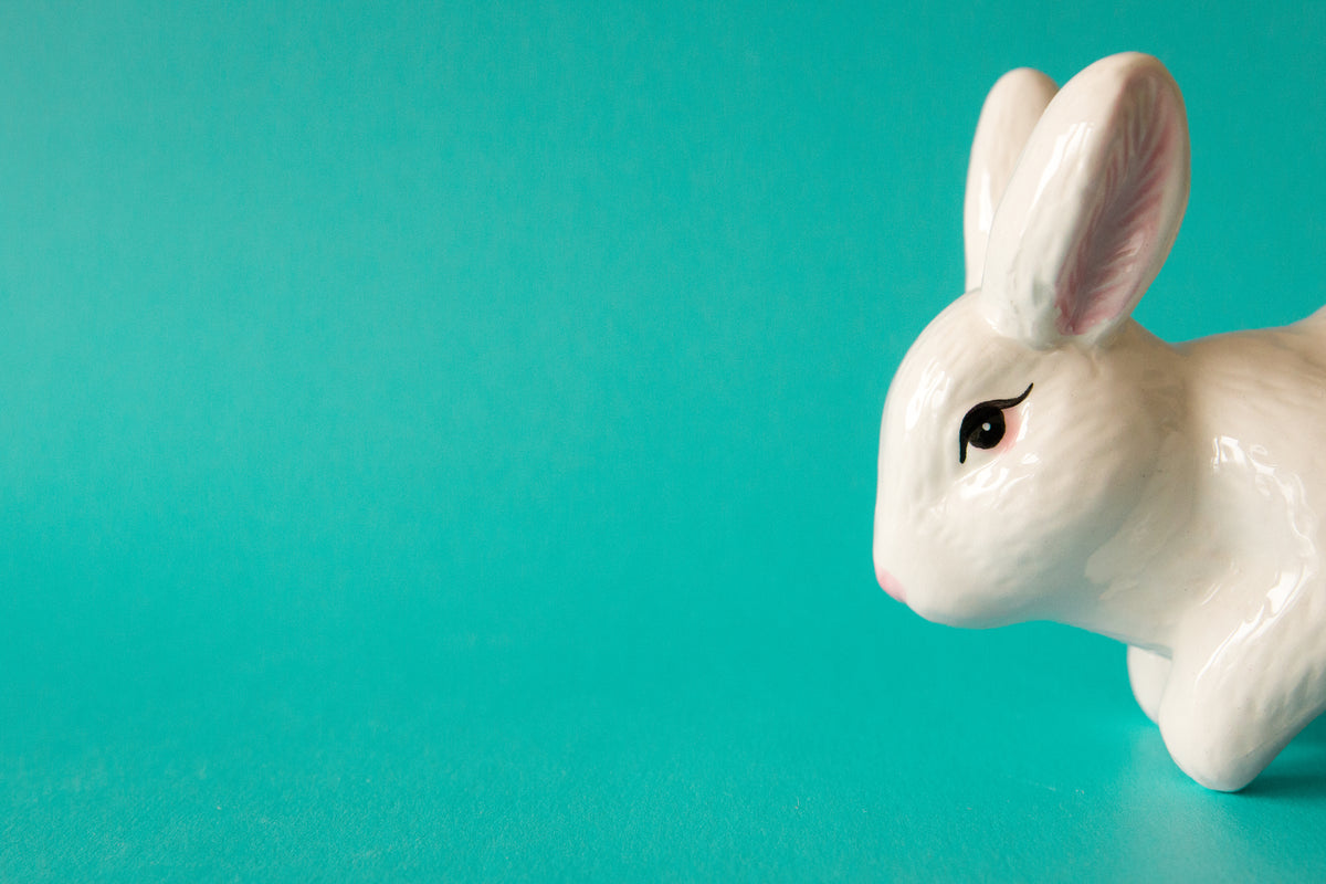 a porcelain rabbit greets us