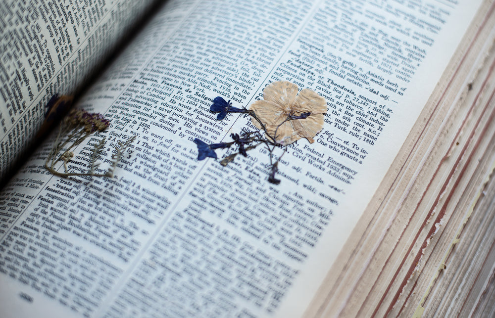 a pressed flower in the pages of an old dictionary