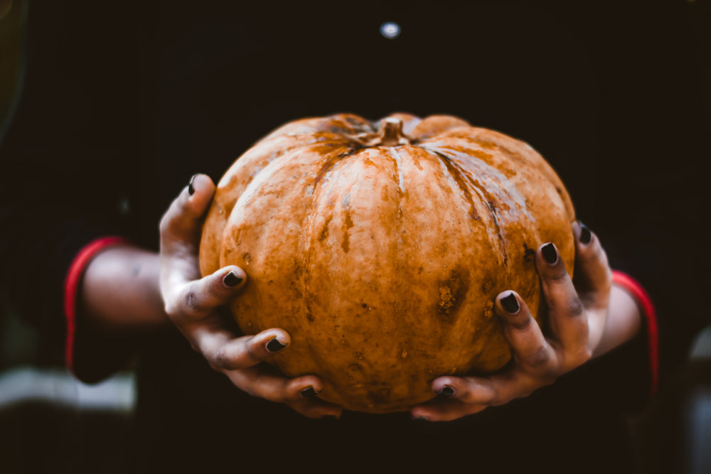 a pumpkin sits between two hands