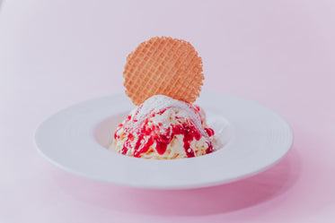 a red and white dessert and cookie on white plate