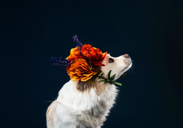 a regal white dog in a flower bonnet