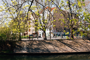 a river with some trees hiding buildings behind