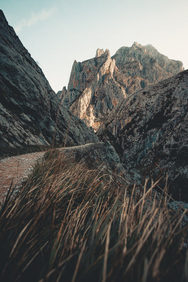 a rocky mountain dirt trail