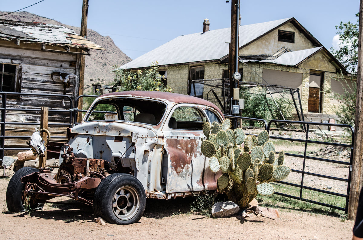 a rusty old car cuddles a cactus in a desert