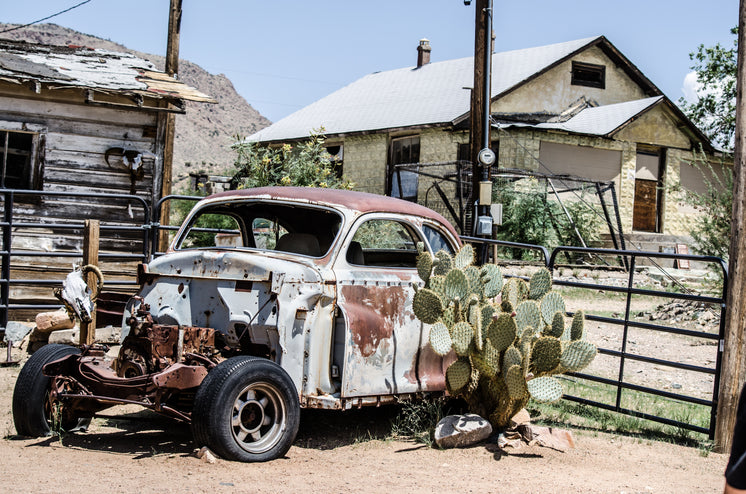 A Rusty Old Car Cuddles A Cactus In A Desert