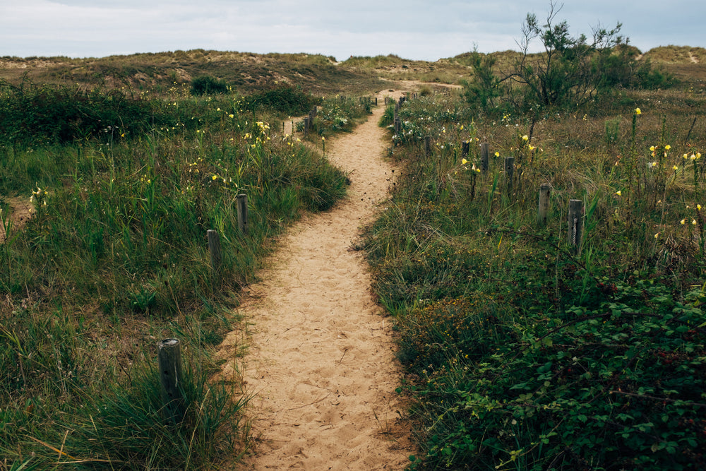 a sandy footpath winds through grass fields