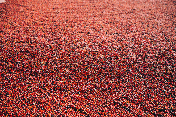 a-sea-of-coffee-beans.jpg?width=746&form