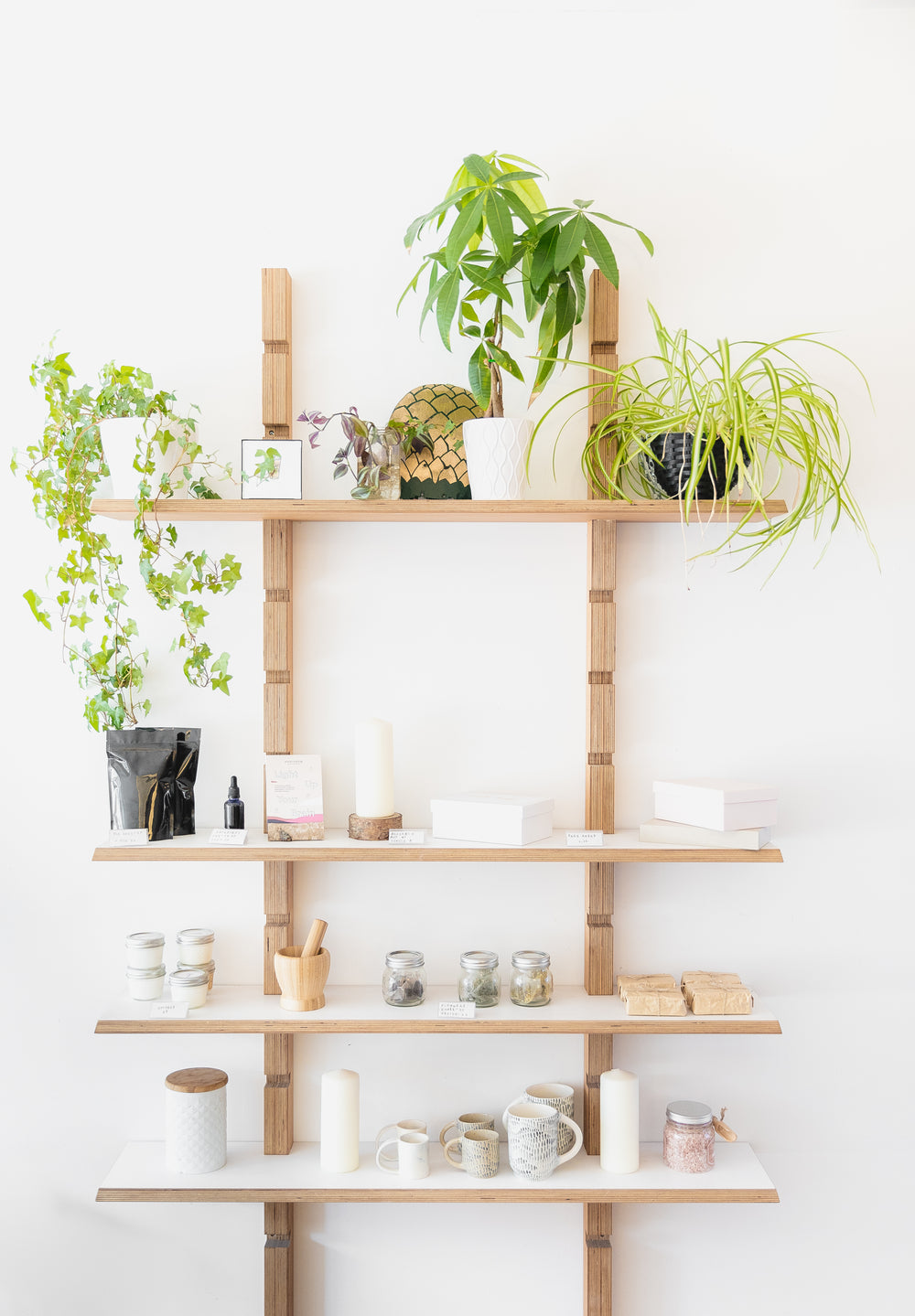 a selection of candles and plants on wooden shelves