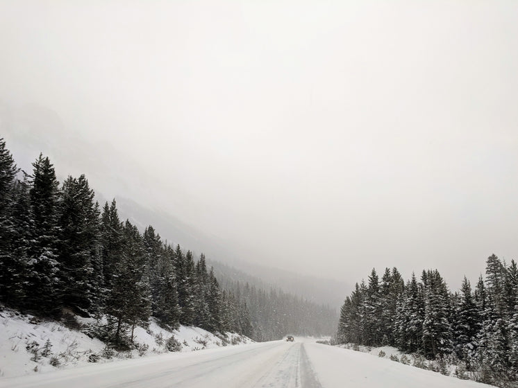 a-single-truck-on-a-snowy-road.jpg?width