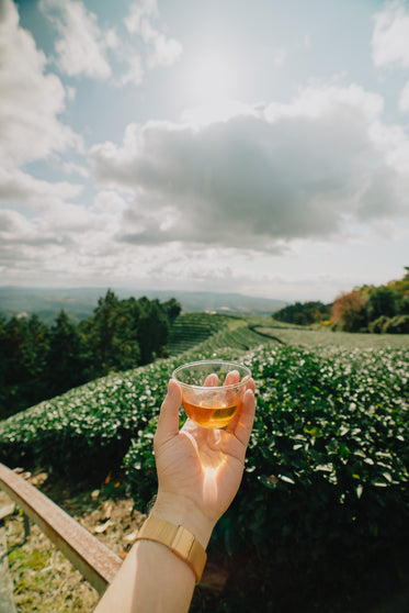 a small drink to cheers the field of vines below