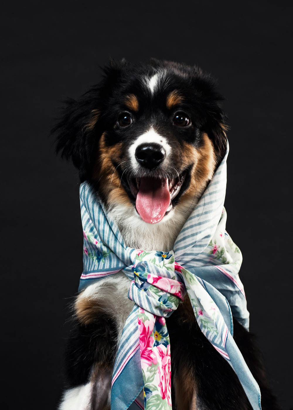 a smiling black and tan dog with floral necktie