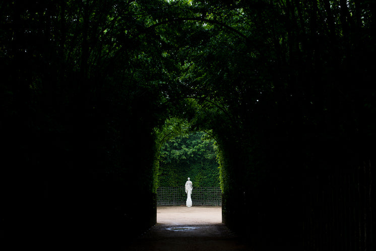 a-statue-stands-alone.jpg?width=746&format=pjpg&exif=0&iptc=0