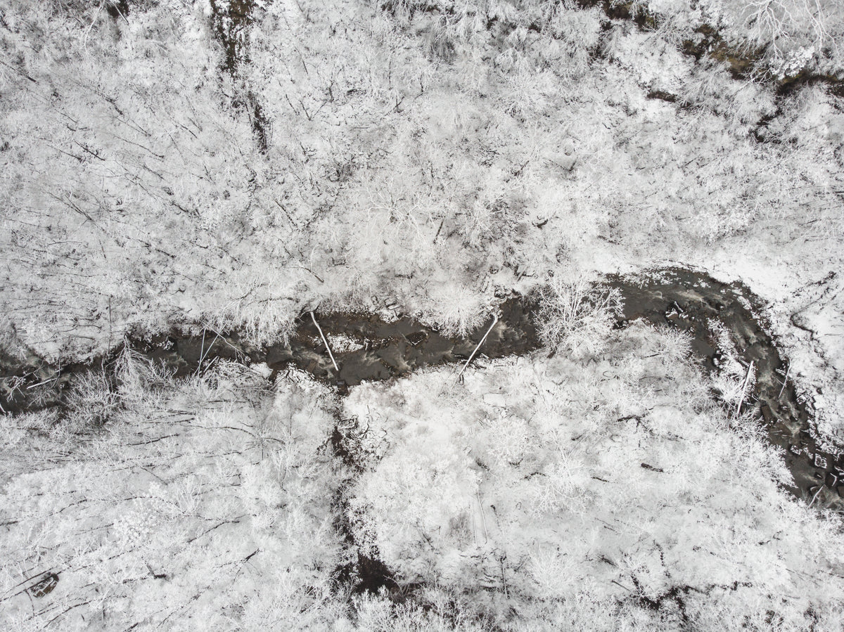 a stream cut dark shapes through the snow