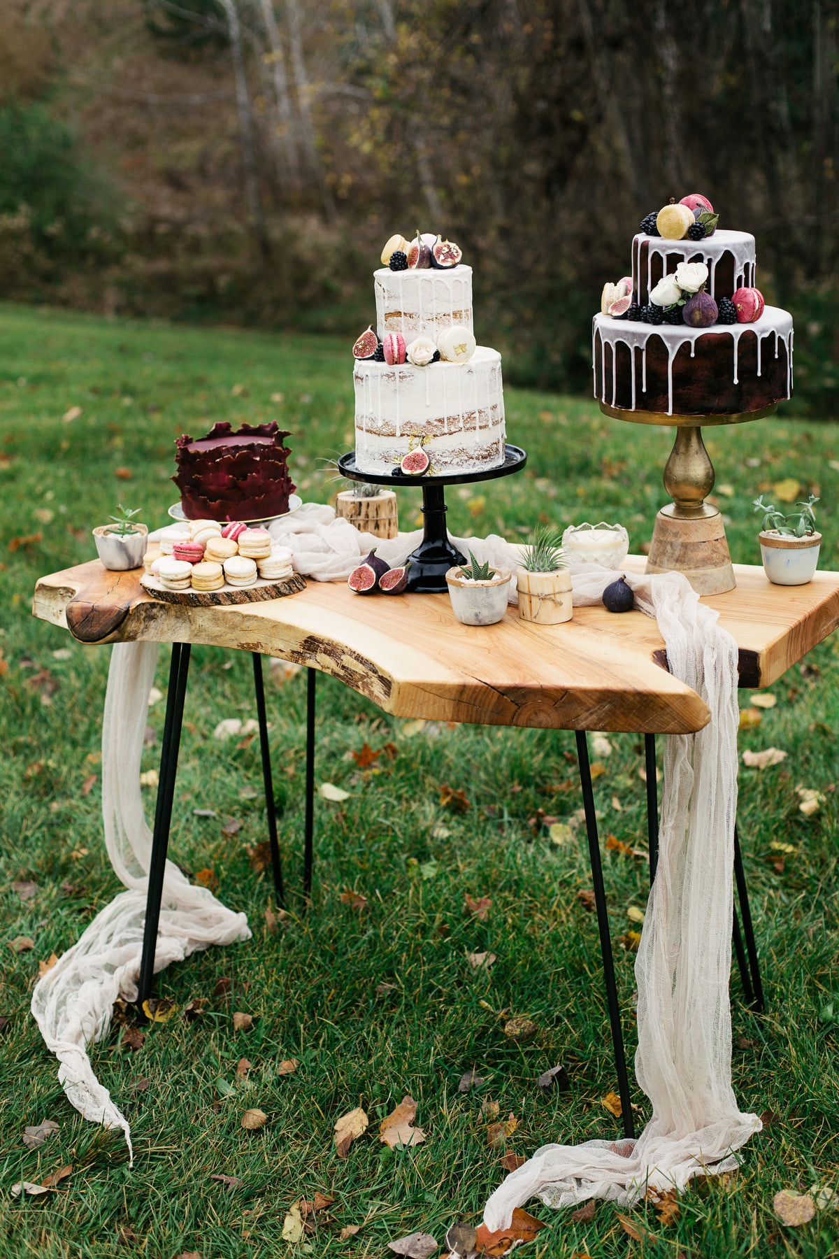 a stunning display of cakes and desserts on table