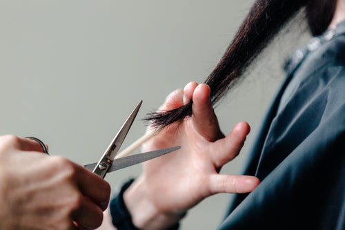 a stylist cuts hair a woman's long hair