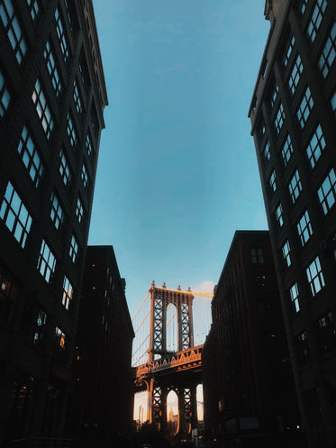 a sunlit bridge framed by city silhouette