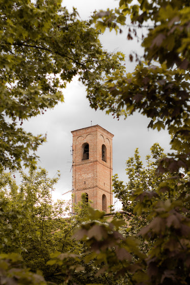 a tall tower framed with green branches of trees