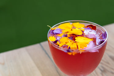 Browse Free HD Images of A Taste Of Summer With A Floral Cocktail