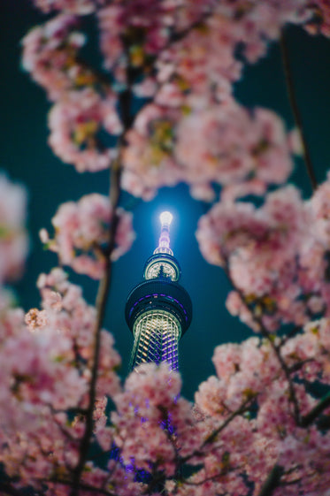 a tower through pink blooms on a tree branch