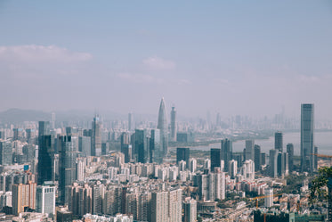 a vast expanse of skyscrapers blend into a hazy sky
