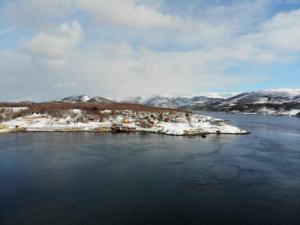 a view of a small lakeside town