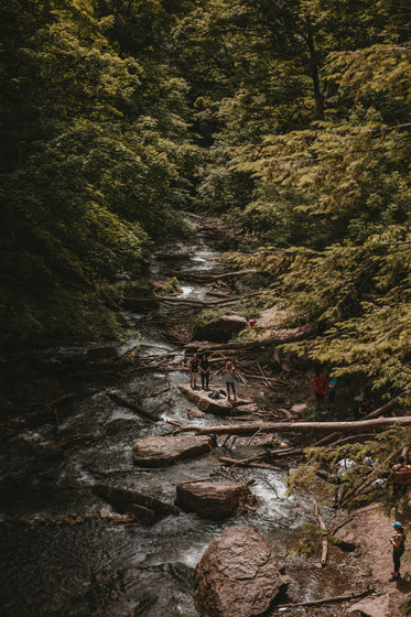 a waterfalls view