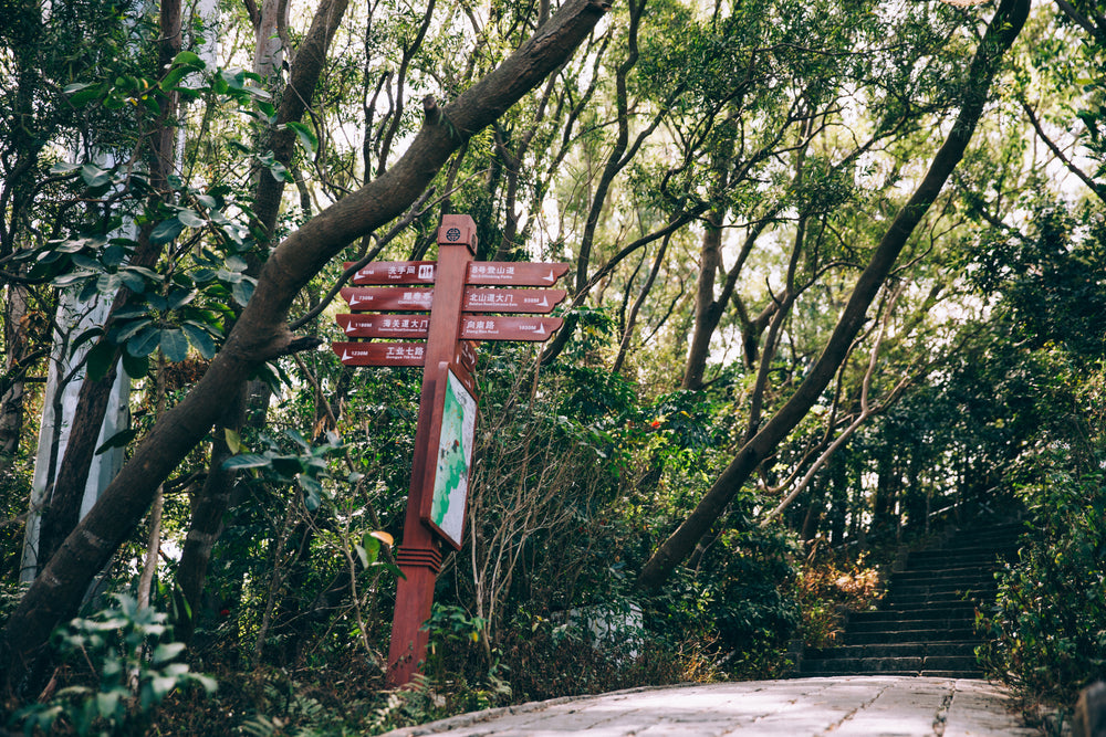 a wayfinding sign beside a path