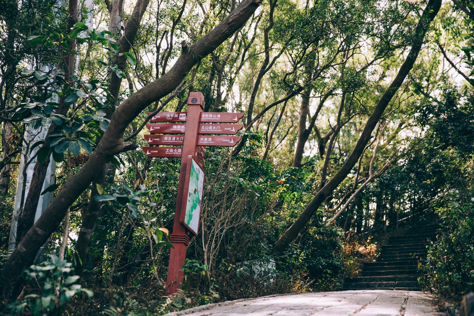 Browse Free HD Images of A Wayfinding Sign Beside A Path