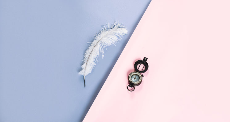 a-white-feather-quill-and-compass-on-pin