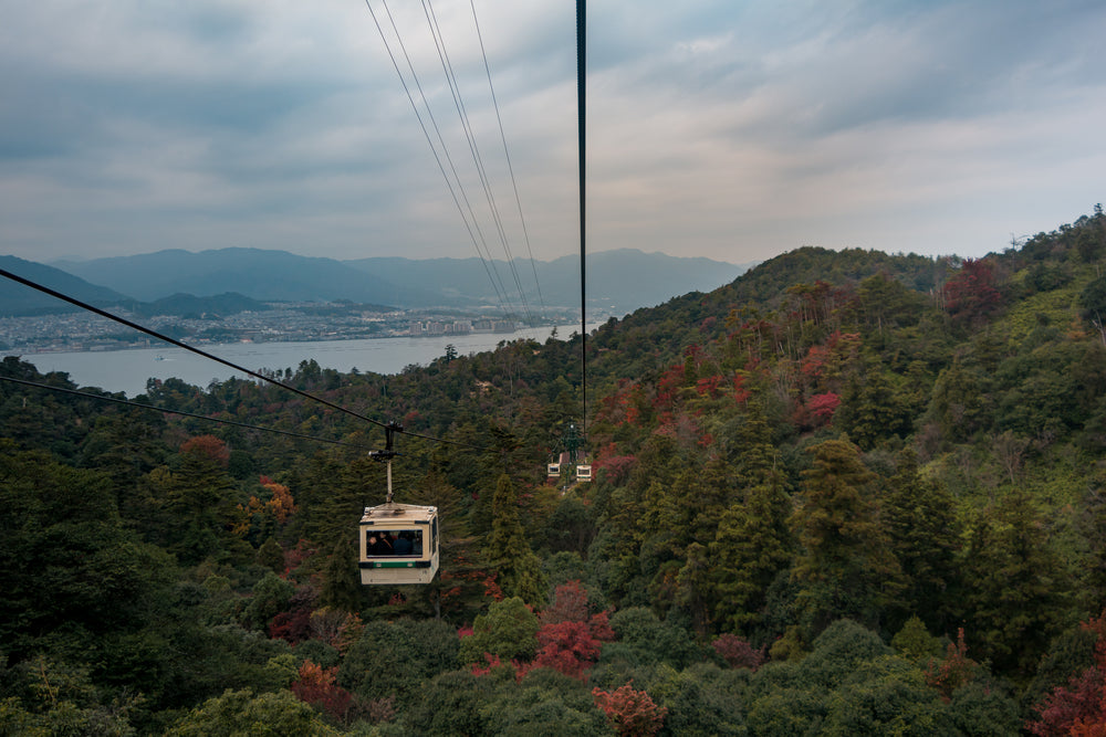 a white gondola over thick trees turing in the fall