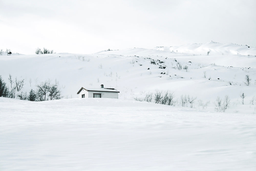a white wood hut camouflaged in snow