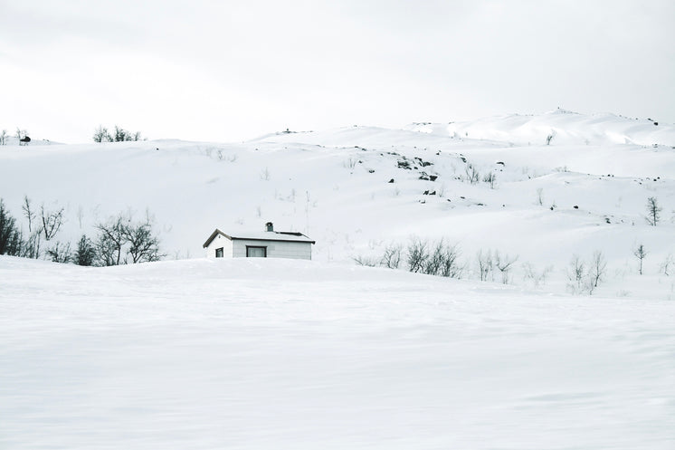 A White Wood Hut Camouflaged In Snow
