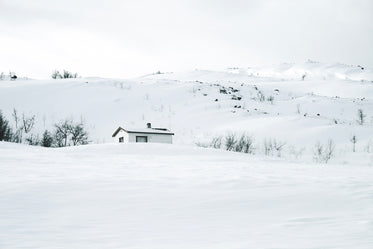 a white wood hut camouflaged in snow